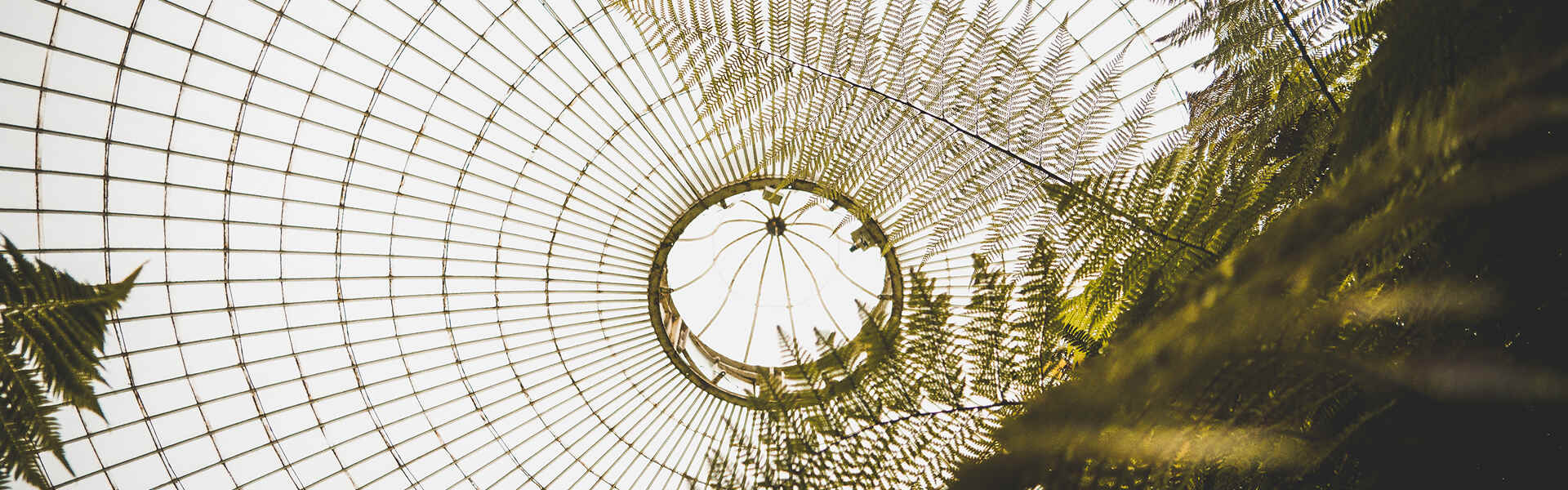 CSR Image