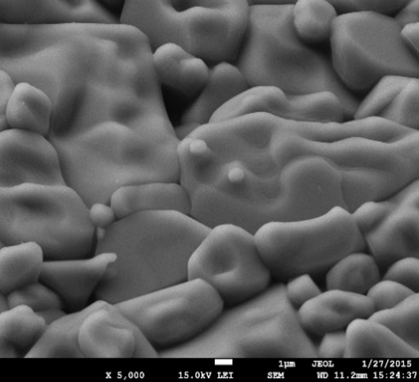 Surface Morphology